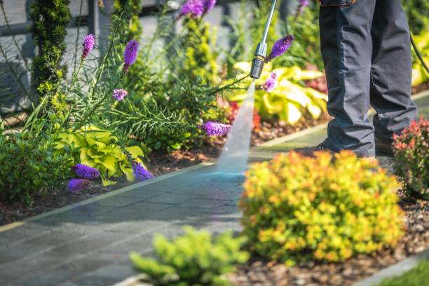 Best Driveway Pressure Washing  in Beach Haven West, NJ