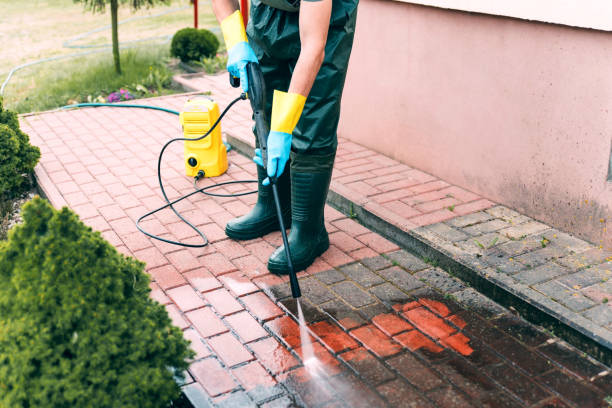 Professional Pressure Washing Services in Beach Haven West, NJ